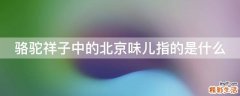 骆驼祥子中的北京味儿指的是什么