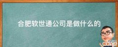 合肥软世通公司是做什么的