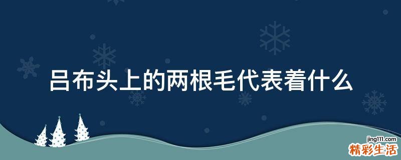 吕布头上的两根毛代表着什么