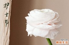 护士节年度最暖心的文案说说大全