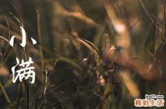 小满节气养生重点 小满节气养生保健