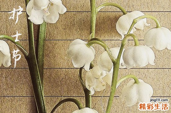 2023护士节最打动人心祝福语