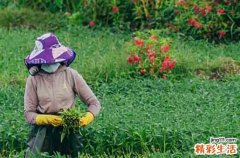 2023五一勞動節(jié)假期時間安排 2023五一放假時間安排通知