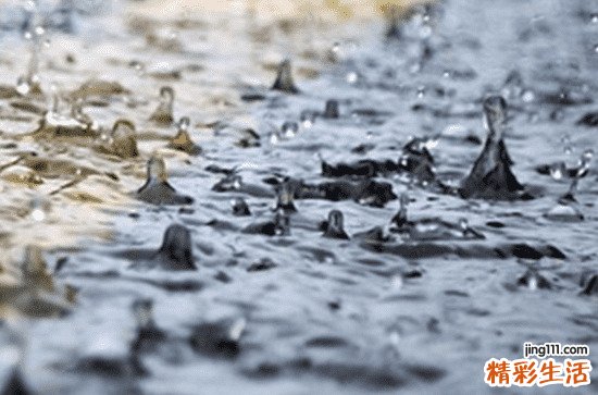 2023年什么时候谷雨 2023年谷雨是多少号