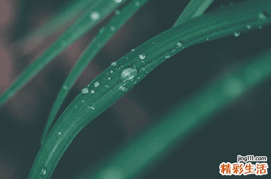 2023年谷雨农历时间 2023谷雨节是农历几月几日