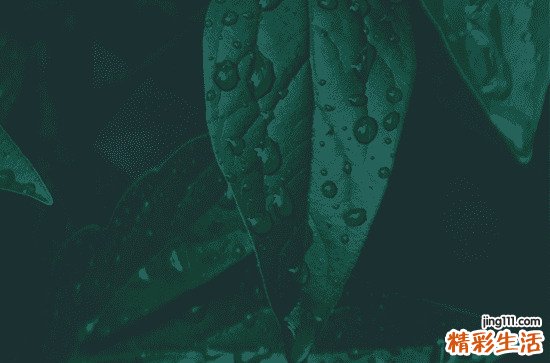 2023谷雨前一个节气是什么 清明后是谷雨吗