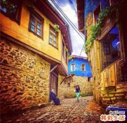 提高上班族免疫力的保健品有哪些