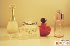 参苓白术散加减