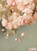 秋季吃什么对睡眠好