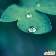 夏季如何预防小儿疾病