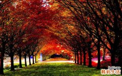 怎樣找回工作的樂趣_找回工作樂趣的方法