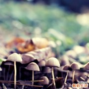 【面對職場壓力中“十步棋”】如何緩解心理的壓力