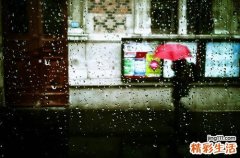 熬夜上班要喝什么好