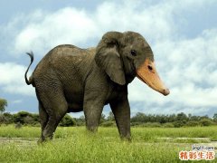 高血压检查，高血压如何诊断鉴别