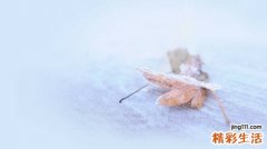 气血亏虚会引起失眠吗