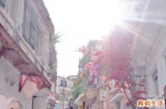 急性腸胃炎病因，急性腸胃炎的原因