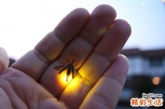 肾血管瘤严重吗