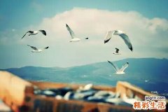 脫發(fā)吃什么好，脫發(fā)不能吃什么