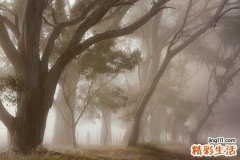 咽炎在什么部位