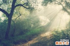 經(jīng)常感冒流鼻涕是什么原因