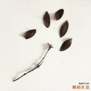 橄欖油不能和什么一起吃