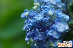 如何快速急救“肌肤疲劳症”