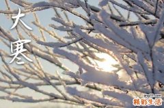 2023大寒祝福语大全[1]