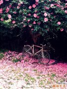 如何缓解心理压力 _9个减压锦囊释放压力