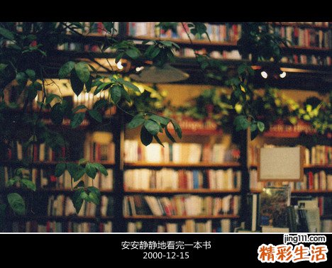 2 杉木节