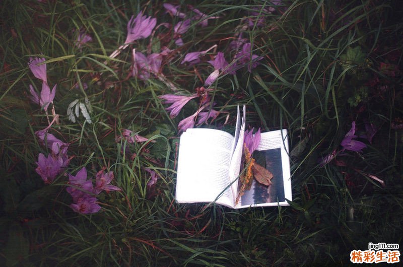 职场有什么潜规则_职场人士不可不知的潜规则