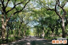 股癣吃什么好，股癣不能吃什么