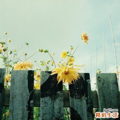 急性胃炎的治疗方法，急性胃炎怎么办