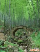 上班族什么运动比较好