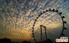 五岁儿童补钙吃什么好