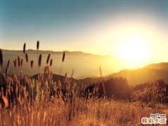 患白癜风忌什么药