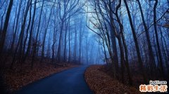 职场女性易犯的错误_职场女性易错点有啥