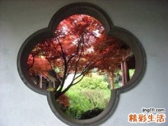 大孔吸附树脂知识