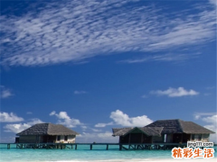 八卦：心理学家华生的性丑闻