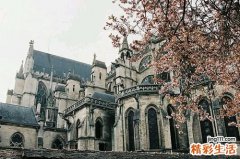 食物中毒分为几类