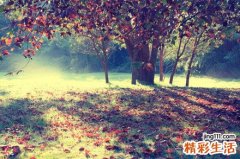宫颈糜烂不能吃红枣吗