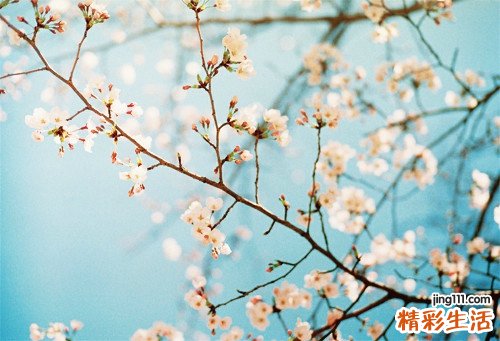 什么是社交恐惧症_社交恐惧症的自我调节
