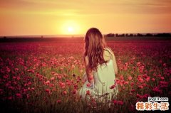 锡叶藤