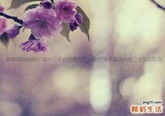怎样判断人参的好与坏