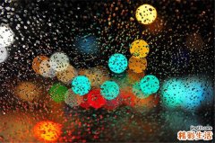 3 雁来红