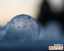 山兵豆