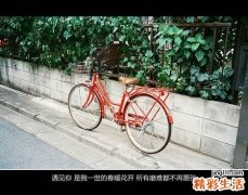 山楂 抗衰老又抗癌