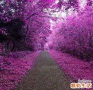 【生理期注意事项】生理期女生心理