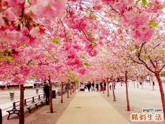 春季宝宝该注意什么
