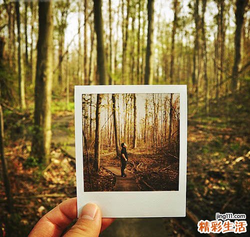 春季养生必吃的菜品