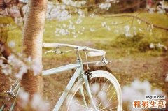 中医针灸治疗脾虚